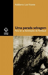 Baixar Uma parada selvagem: para ler as Ilumina&ccedil;&otilde;es de Rimbaud pdf, epub, eBook