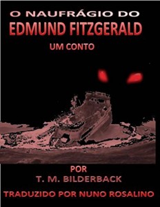 Baixar O Naufr&aacute;gio do Edmund Fitzgerald pdf, epub, eBook
