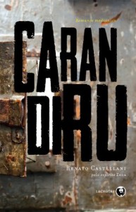 Baixar Carandiru – Um Depoimento P&oacute;stumo pdf, epub, eBook