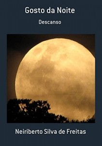 Baixar Gosto Da Noite pdf, epub, eBook