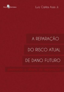 Baixar A Repara&ccedil;&atilde;o do Risco Atual de Dano Futuro pdf, epub, eBook