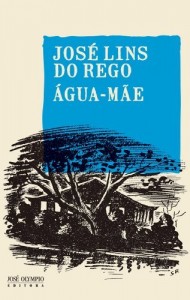 Baixar &Aacute;gua-m&atilde;e pdf, epub, eBook