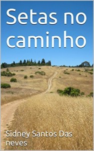 Baixar Setas no caminho pdf, epub, eBook