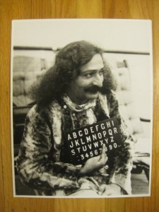 Baixar Meber Baba: Medita&ccedil;&atilde;o e Amor como Ensinado por Meher Baba: O Avatar desta Era pdf, epub, eBook