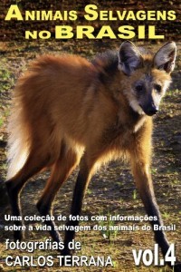 Baixar ANIMAIS SELVAGENS NO BRASIL – uma cole&ccedil;&atilde;o de fotografias com informa&ccedil;&otilde;es sobre a vida e costumes dos animais do… pdf, epub, eBook