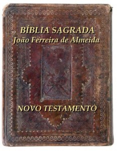 Baixar BIBLIA SAGRADA Novo Testamento pdf, epub, eBook