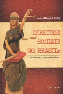 Baixar DIREITOS SOCIAIS NO BRASIL: O TRABALHO COMO VALOR CONSTITUCIONAL pdf, epub, eBook