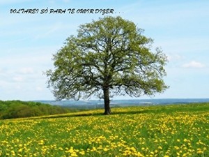 Baixar VOLTAREI S&Oacute; PARA TE OUVIR DIZER… pdf, epub, eBook