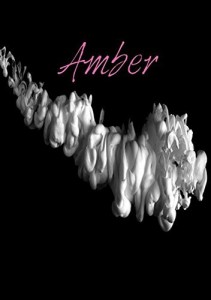 Baixar Amber pdf, epub, eBook