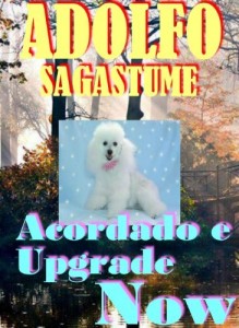 Baixar Acordado e Upgrade Now pdf, epub, eBook