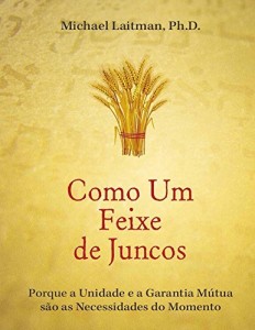 Baixar Como um Feixe de Juncos pdf, epub, eBook