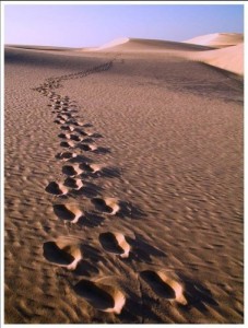 Baixar CONVITES &Agrave; VIDA pdf, epub, eBook