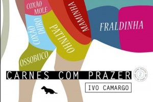 Baixar Carnes com prazer (Receitas dos cortes da carne bovina) pdf, epub, eBook