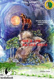 Baixar Sob a  luz da lua cheia (A MOCHILA DE FRANCISCA Livro 2) pdf, epub, eBook