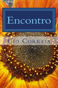 Baixar Encontro (Cartas Livro 17) pdf, epub, eBook