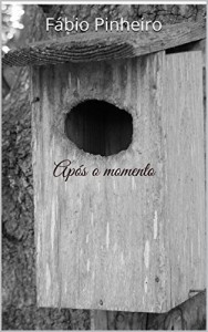 Baixar Ap&oacute;s o momento pdf, epub, eBook