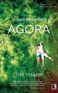 Baixar O maravilhoso agora pdf, epub, eBook