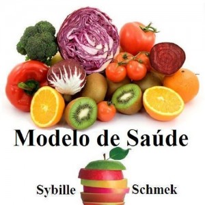 Baixar Modelo de Sa&uacute;de pdf, epub, eBook