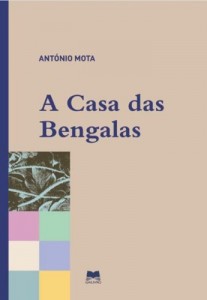 Baixar A Casa das Bengalas pdf, epub, eBook