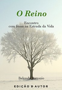 Baixar O reino Encontro com Jesus na estrada da Vida pdf, epub, eBook