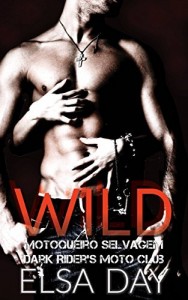 Baixar Wild – Motoqueiro Selvagem (Dark Riders Moto Club #1) pdf, epub, eBook