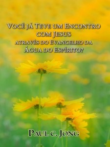 Baixar VOCÊ JÁ TEVE UM ENCONTRO COM JESUS ATRAVÉS DO EVANGELHO DA ÁGUA DO ESPÍRITO? pdf, epub, eBook