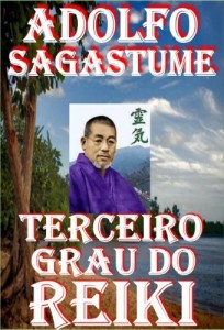 Baixar Terceiro Grau do Reiki pdf, epub, eBook