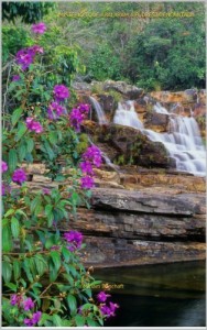 Baixar MISTÉRIOS QUE ABALARAM A FLORESTA ENCANTADA (A FEITICEIRA SVÂRTANÂV Livro 2) pdf, epub, eBook