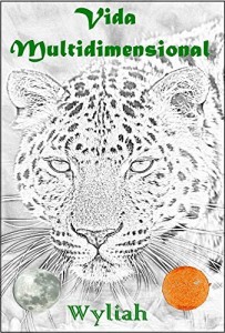 Baixar Vida Multidimensional pdf, epub, eBook