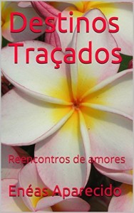 Baixar Destinos Traçados: Encontros e Desencontros pdf, epub, eBook