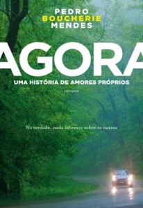 Baixar Agora: Uma hist&oacute;ria de amores pr&oacute;prios pdf, epub, eBook