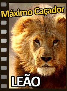 Baixar M&aacute;ximo Ca&ccedil;ador: Le&atilde;o pdf, epub, eBook