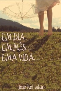 Baixar Um dia, Um mês, Uma vida: Um livro que você vira o personagem… pdf, epub, eBook