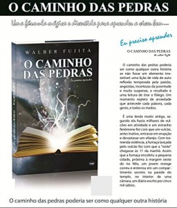 Baixar walber fujita o caminho das pedras pdf, epub, eBook