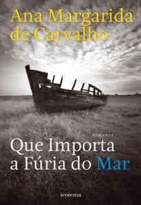 Baixar Que Importa a F&uacute;ria do Mar pdf, epub, eBook
