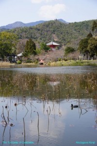 Baixar Teoria Shinzo Abe pdf, epub, eBook