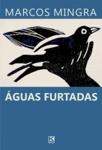 Baixar &Aacute;guas Furtadas pdf, epub, eBook