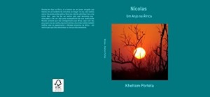 Baixar Nicolas: Um Anjo na &Aacute;frica pdf, epub, eBook