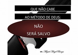 Baixar QUE N&Atilde;O CABE AO M&Eacute;TODO DE DEUS: N&Atilde;O SER&Aacute; SALVO pdf, epub, eBook