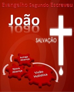 Baixar Vis&atilde;o Hol&iacute;stica de Jo&atilde;o: Apresenta Jesus Cristo, o Filho do homem pdf, epub, eBook