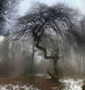 Baixar Onde h&aacute;, falta! pdf, epub, eBook