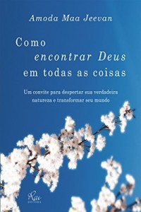 Baixar Como encontrar Deus em todas as coisas pdf, epub, eBook