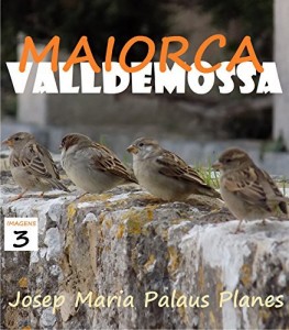 Baixar MAIORCA: VALLDEMOSSA [3] PT pdf, epub, eBook