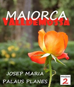 Baixar MAIORCA: VALLDEMOSSA [2] [PT] pdf, epub, eBook
