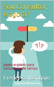 Baixar Sou Consultor, e agora?: passo-a-passo para consultoria de campo pdf, epub, eBook