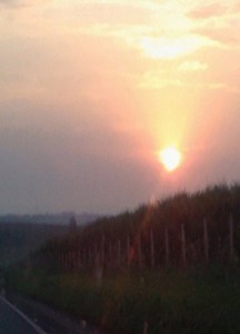 Baixar O PESCADOR, O PEIXE E O ESPÍRITO DA NATUREZA.: O JARDIM DE DEUS! pdf, epub, eBook