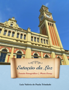 Baixar Estação da Luz: Ensaio Fotográfico pdf, epub, eBook