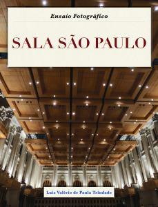 Baixar Sala São Paulo: Ensaio Fotográfico pdf, epub, eBook