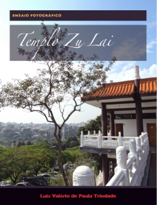 Baixar Templo Zu Lai: Ensaio Fotográfico pdf, epub, eBook