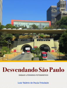 Baixar Desvendando São Paulo: Ensaio Literário-Fotográfico pdf, epub, eBook